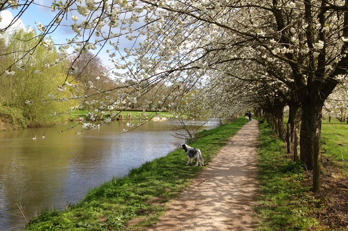 netherlands-utrecht-estate-amelisweerd-river-walk