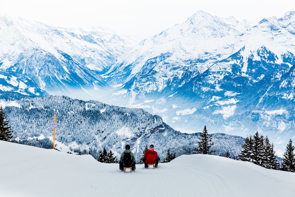 tobogganing