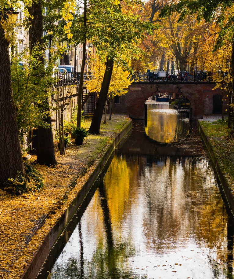 Autumn leaves reflect on an Utrecht canal