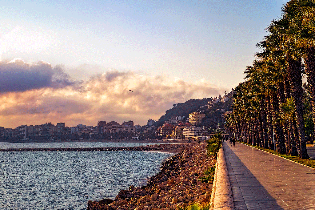 A walking path alongside the ocean with palm trees
