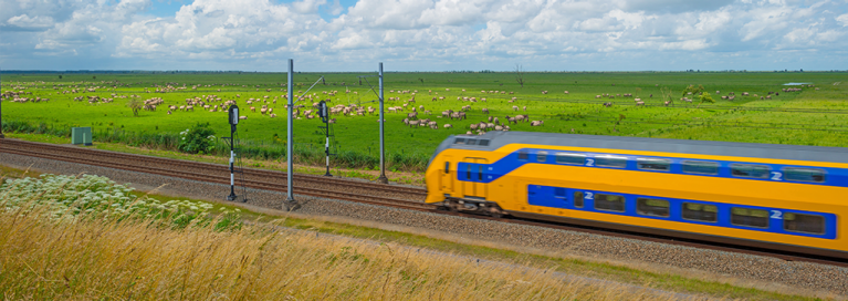 dutch-train-in-green-fields-sheep