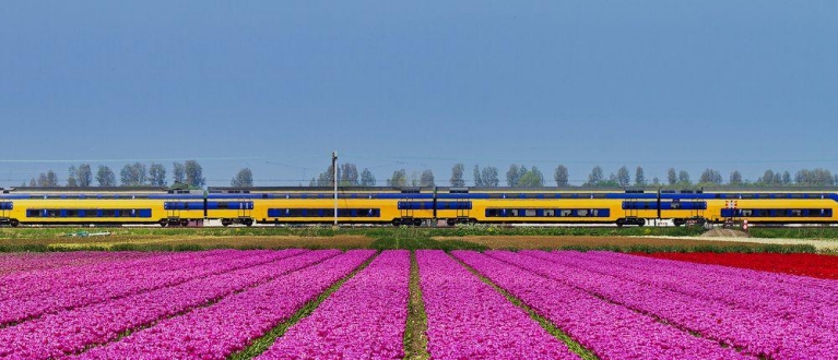 Trem holandês na primavera| Eurail Four Country Select Pass