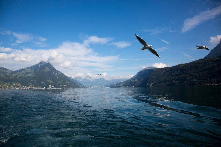 Vista do barco Gotthard Panorama Express, Suíça