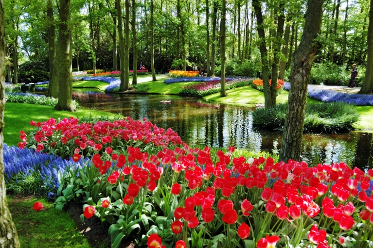 Come smell the flowers in the Netherlands