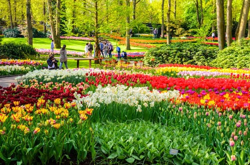 Viajar con Interrail en primavera | Flores en los jardines de Keukenhof, Países Bajos