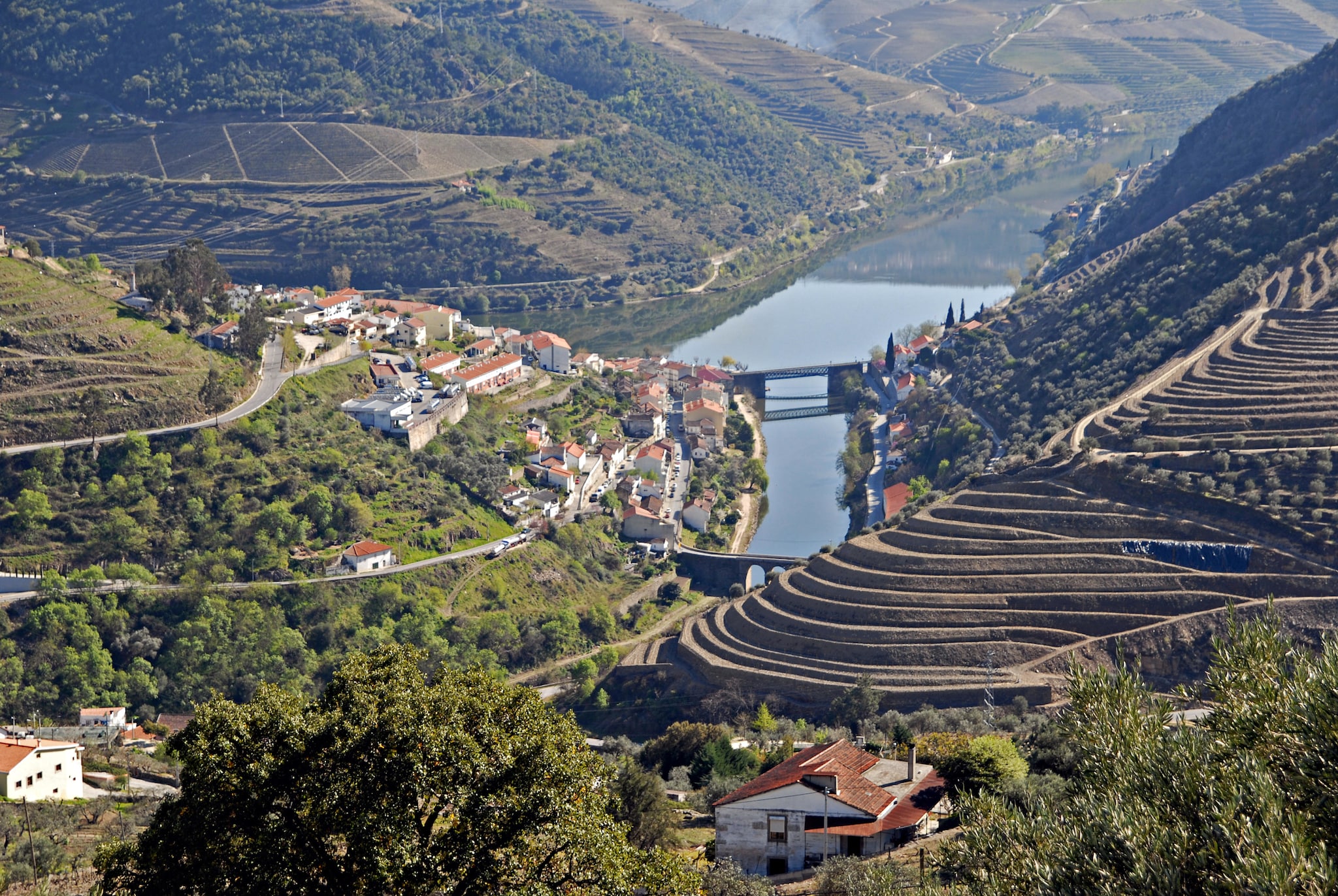 A landscape view of the vineyards of Pinhao, Portugal