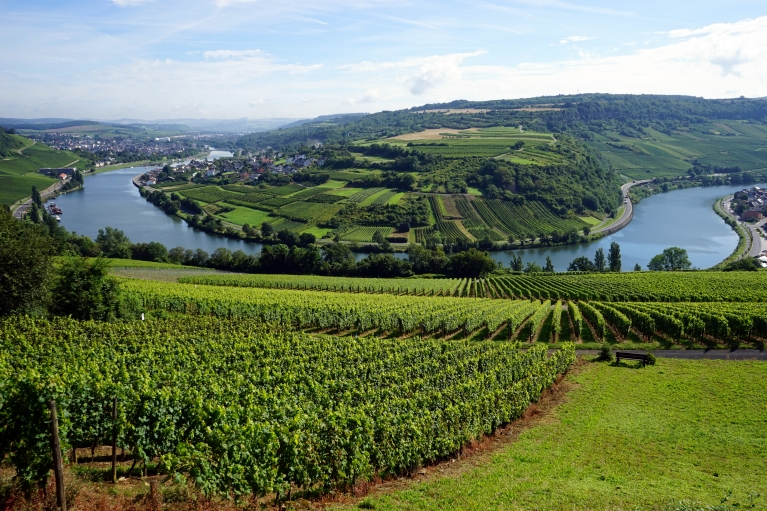 The Moselle valley
