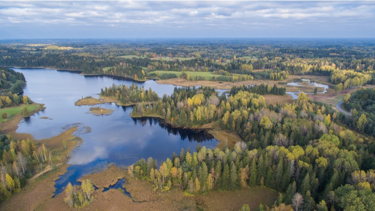 estonia-voro-country-area-forests-aerial-view