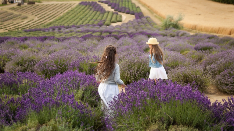 france-provence-lavender-fields-two-girls