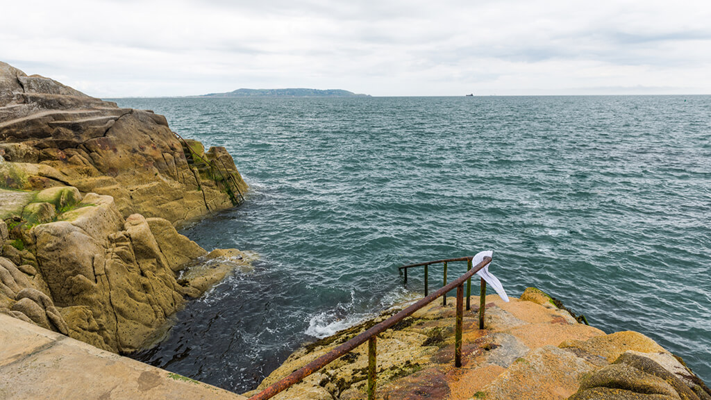 ireland-40-foot-natural-swimming-pool