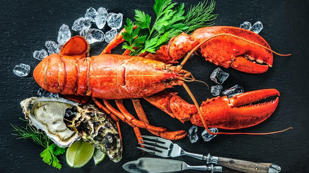 ireland-lobsters-oysters