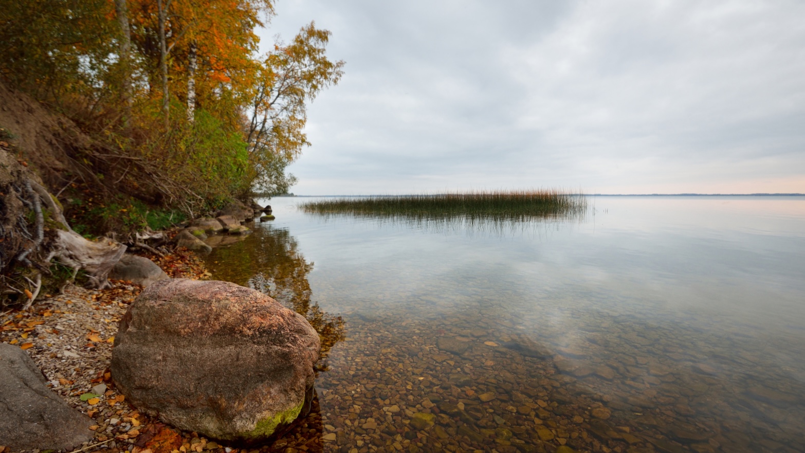 latvia-razna-lake-close-up-sunset