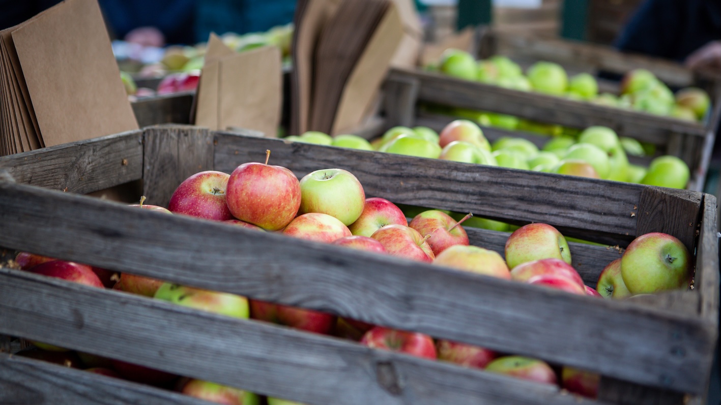 sweden-kivik-apples