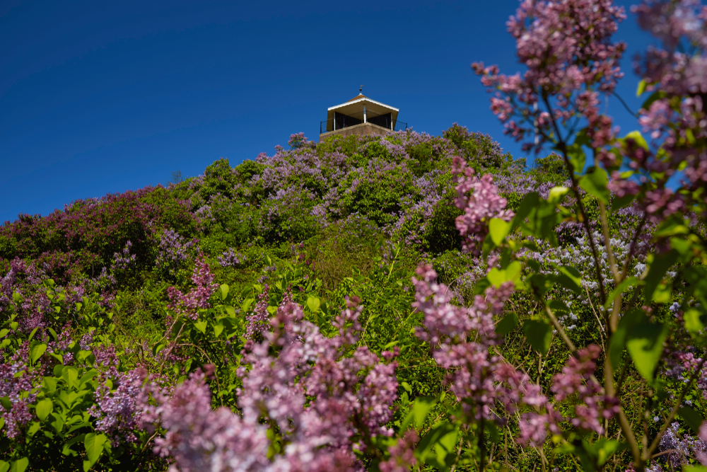 The Seringenberg Viewpoint in Wassenaar