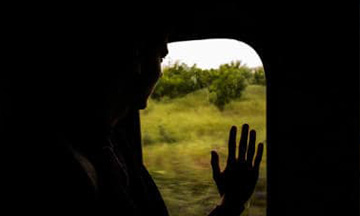 passenger-looking-at-nature-outside-of-train-small