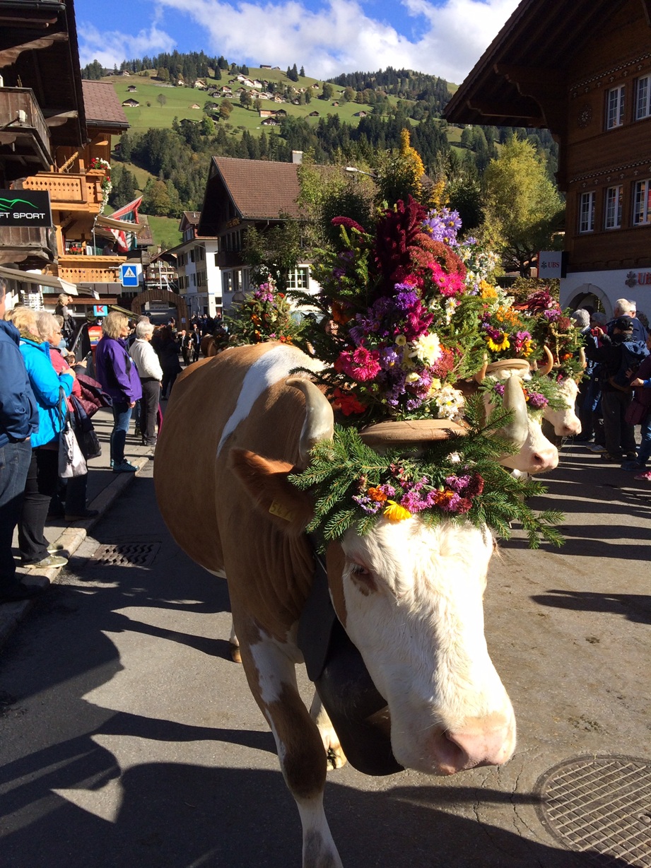 Alpkultur Day, Lenk Simmental