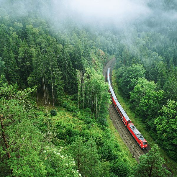 블랙 포레스트 라인(Black Forest Line) 관광 열차