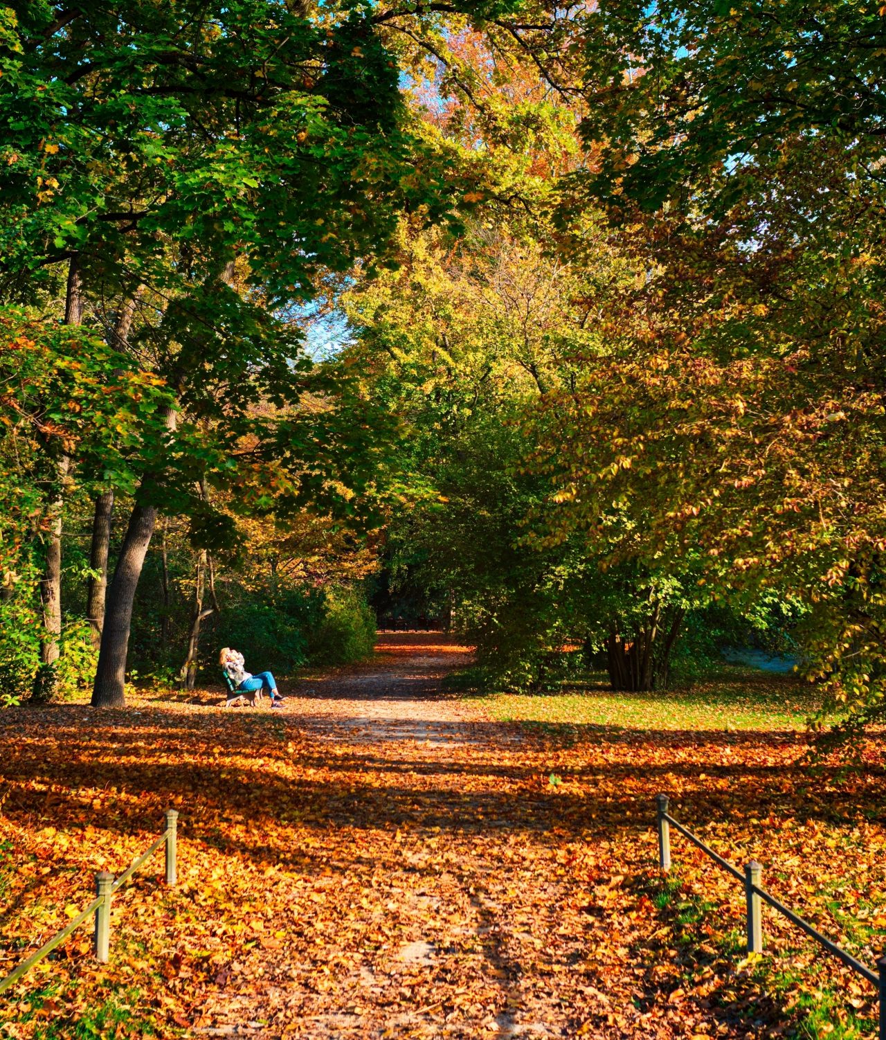 Golden autumn fall October in famous Munich relax place - Englishgarten with people pedestrians and cyclists . English garden with fallen leaves and golden sunlight. Munchen, Bavaria, Germany