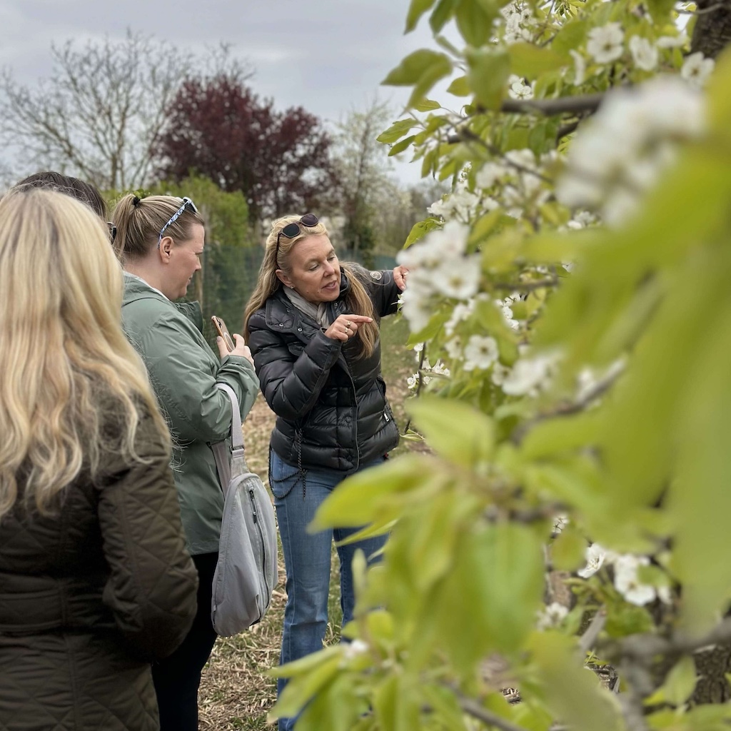 果园主人Ilonka Happel带我们参观Appel Happel果园的苹果树